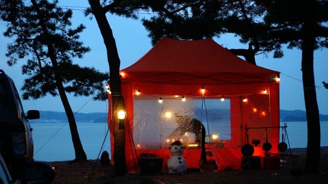 Orange tent decorated with bulb lights in the forest at dusk