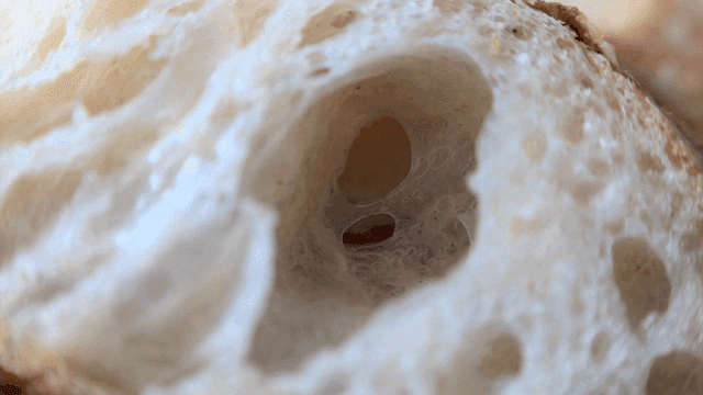 빵의 단면 질감과 구멍의 클로즈업