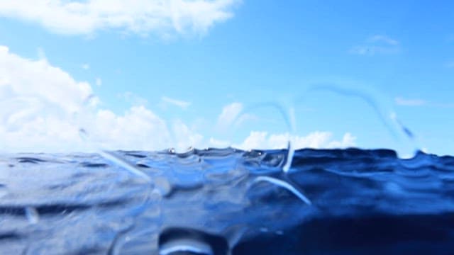 Majestic Whale Swimming Under Ocean Surface