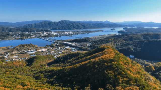 멀리 산이 보이는 가을 숲