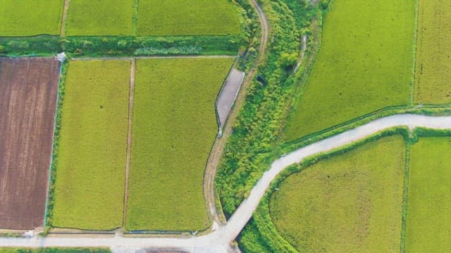 Expansive farmland with green fields