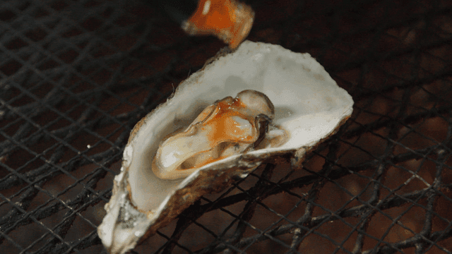 Grilled oysters drizzled with hot sauce