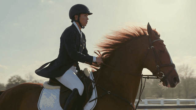 Rider in riding attire riding horse