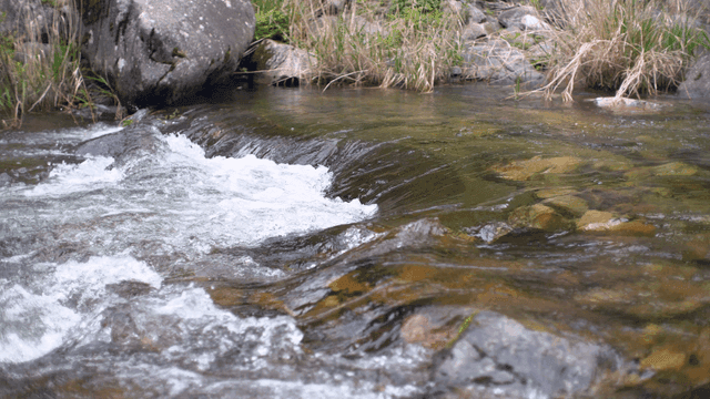 Clear stream flowing over rocks