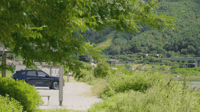 여름 녹지로 둘러싸인 강변 산책로