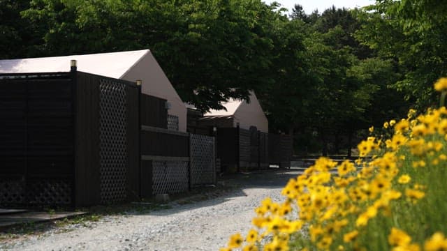 Peaceful Scenery of a Campsite in Harmony with Nature