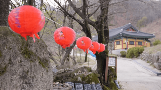 사찰 근처에 걸린 빨간 등불