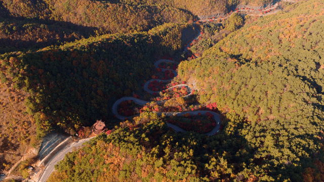 가을 숲길로 이어지는 구불구불한 도로