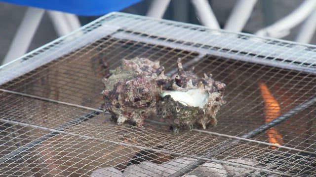 아래 불꽃이 있는 그릴 위에 소라를 굽는 모습