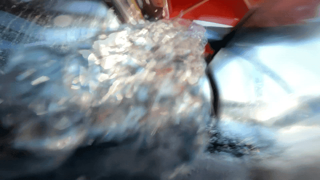 물고기 수조로 물이 흐르는 모습