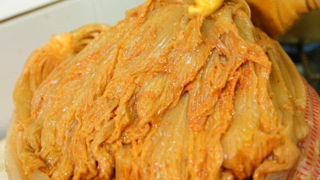 푹 익은 묵은지 한 포기