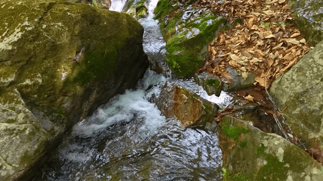 이끼 낀 바위 위로 흐르는 작은 시내