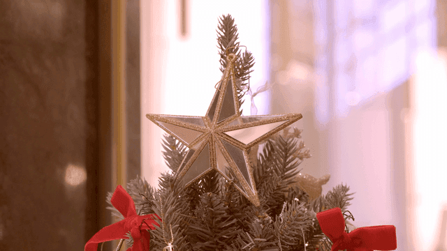 Star ornament on a Christmas tree