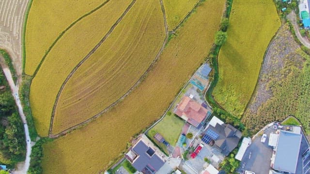 View of expansive farmland