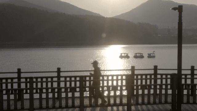 Person running on calm lake with swan boat