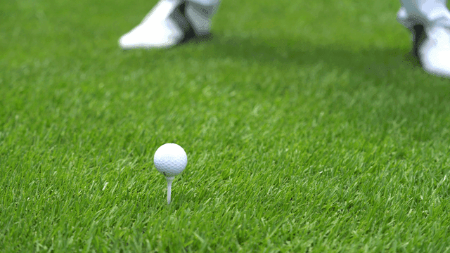 푸른 잔디 위의 골프 클럽과 공