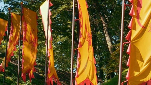 Vibrant Banners Flapping in Forest Breeze