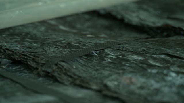 잘 건조된 다시마 묶음