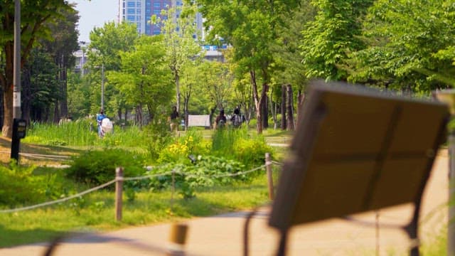 People walking in a park amidst tall green trees