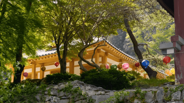 등불이 있는 전통 기와집