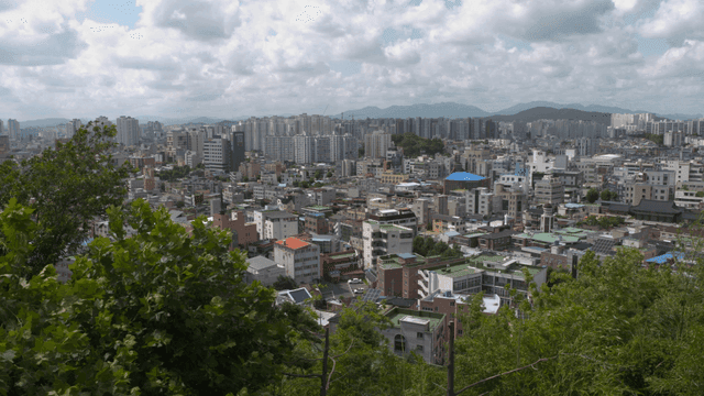 푸른 녹지와 함께 펼쳐진 도시 전경