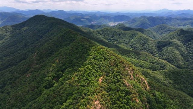 맑은 하늘 아래 푸른 산