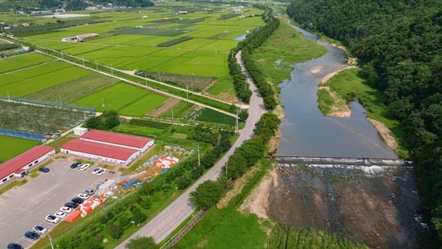 Aerial view of lush green farmland and river