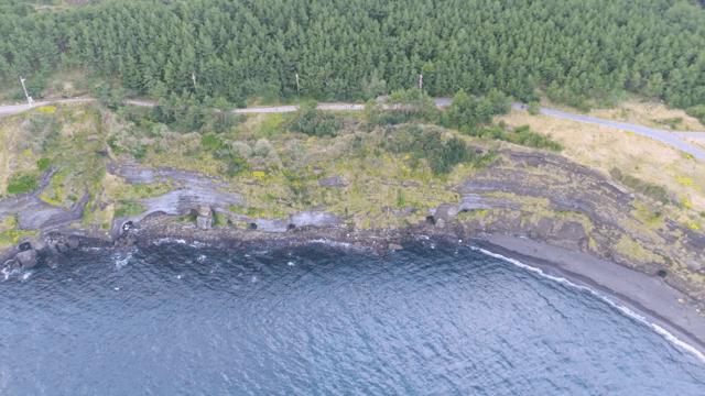 Coastal cliffs with lush greenery