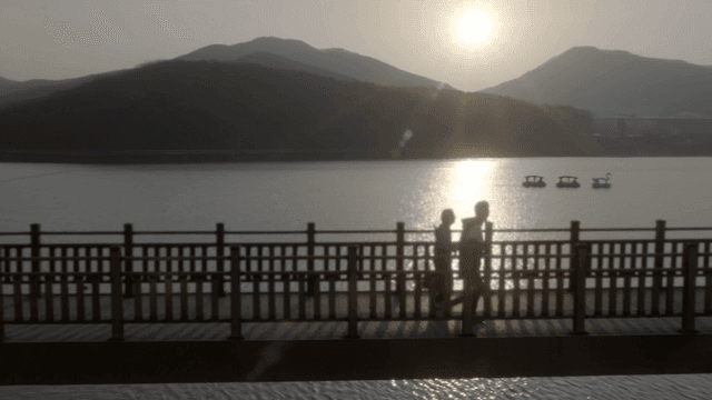 People jogging on sunlit lakeside bridge