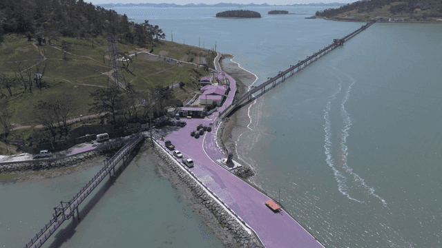 Scenery of purple coastal bridge and road