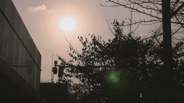 나무와 함께 도시 풍경의 일몰