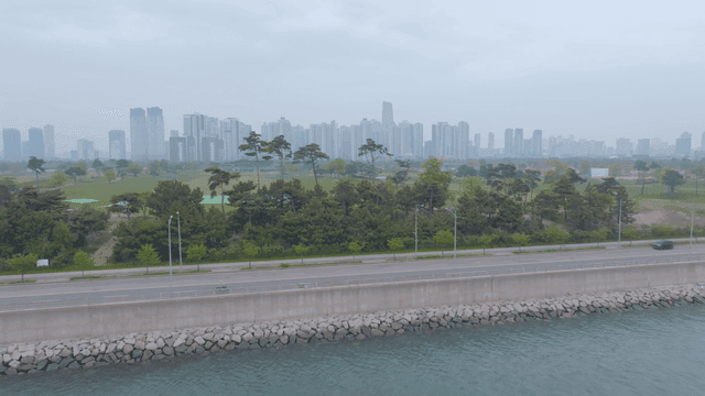 녹색 공원과 해안가에 있는 도시 전경