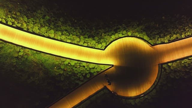 Illuminated pathways in a park at night