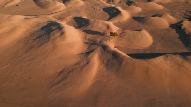 Expansive desert landscape with dunes