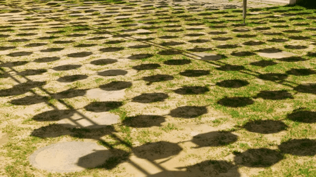 잔디 위에 등불의 그림자