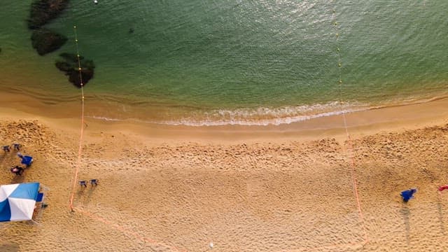 잔잔한 파도가 있는 고요한 해변
