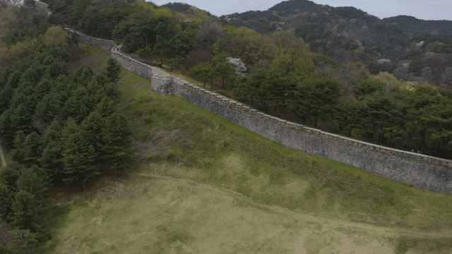푸른 숲에 둘러싸인 역사적인 성곽