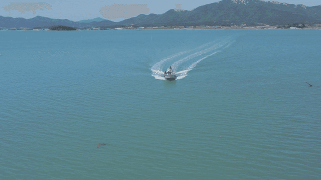 고요한 호수 위를 항해하는 보트