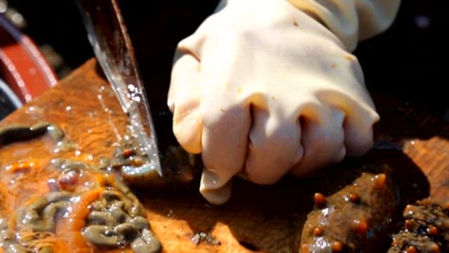 접시에 담긴 자른 해삼