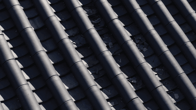 전통 기와의 근접 촬영