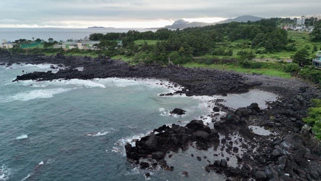 Rocky coastline with lush greenery