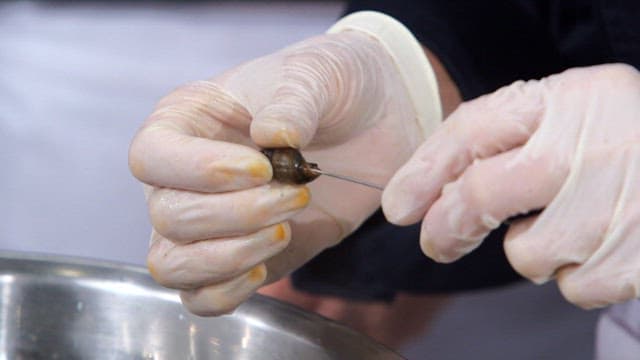 정교하게 다슬기와 껍질을 손질하기