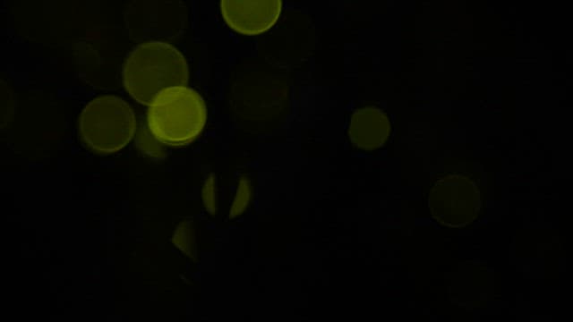 풀잎 위에서 초록빛으로 어둠을 밝히는 반딧불이