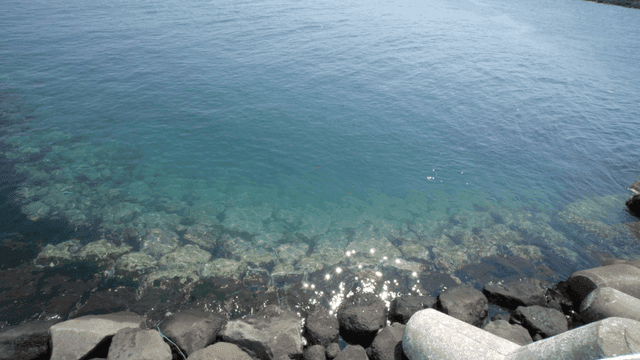 Clear sea water with rocky shore