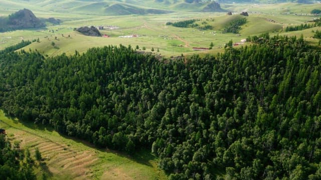 Expansive green landscape with mountains