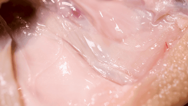 Close-up of raw chicken meat texture
