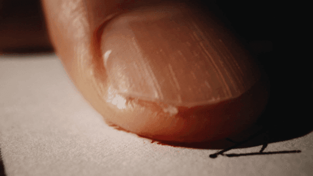 Thumb stamped with red ink