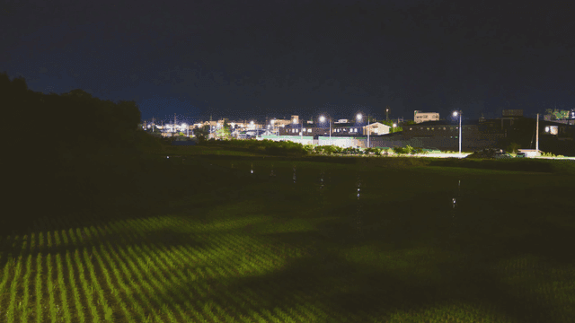 농촌 마을과 들판의 야경