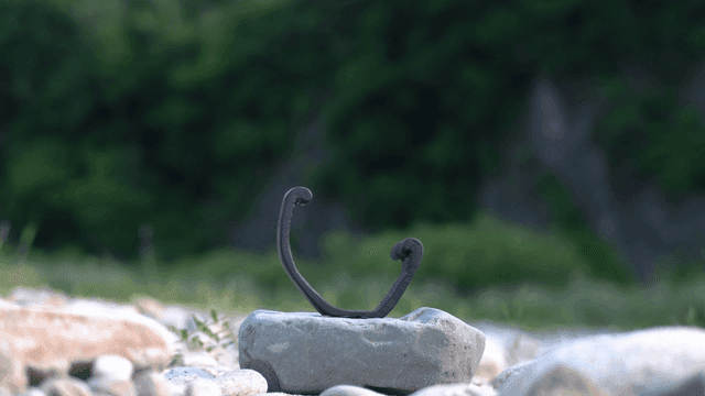 자연 속 돌 위의 구부러진 나무 조각품