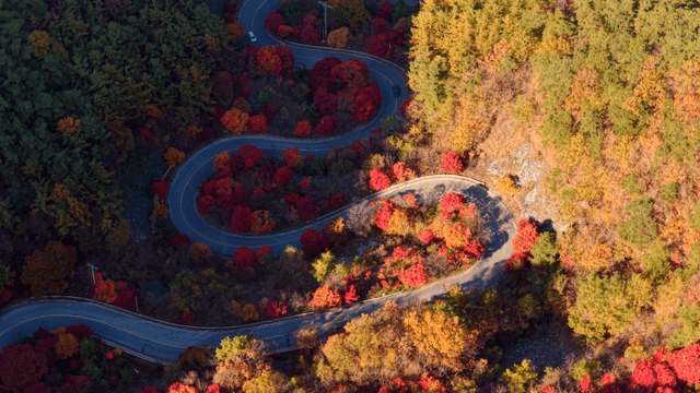 가을 숲을 가로지르는 구불구불한 도로